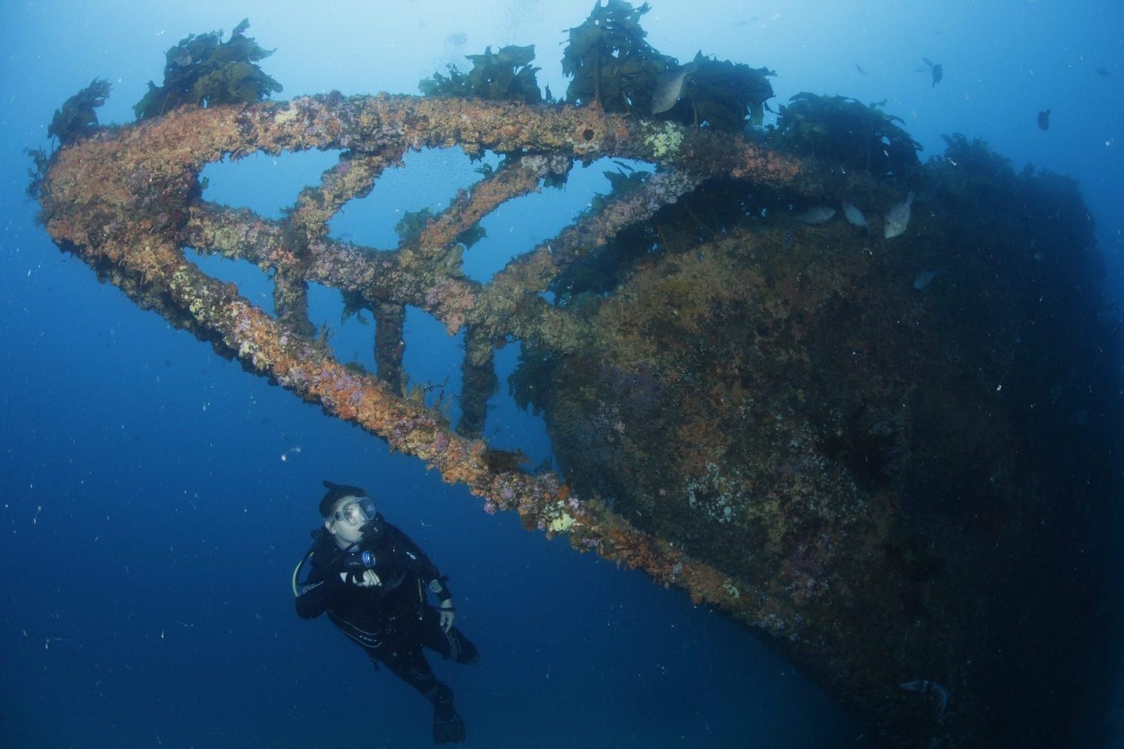 rainbow warrior memorial diving